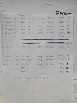 Zlate mince - 2