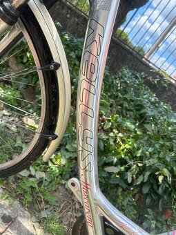Kellys mascarena, Citybike - 2