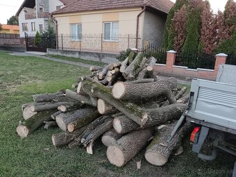 palivové drevo - 2