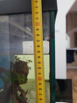 Akvárium - 2