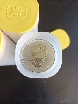 1 Oz Canadian Silver Maple Leaf (2021) - 2