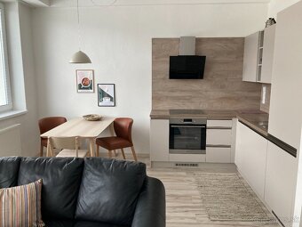 zariadená garsónka na prenájom - 2