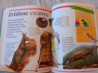Detska ilustrovana encyklopédia - 2