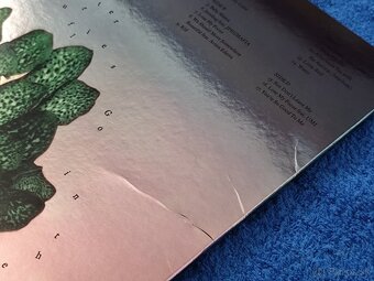 Raveena - Where the butterflies go in the rain (platňa,Vinyl - 2