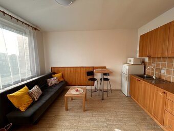 PET friendly útulná garsónka - 2