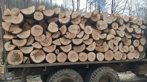 Palivové drevo s dovozom - 2
