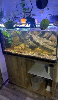 Akvarium 200l - 2
