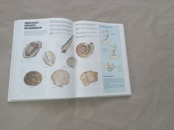 Renée Kayser: Priateľ lesa - 2