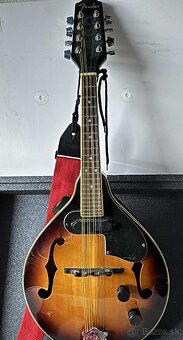 Mandolína elektrická - 2