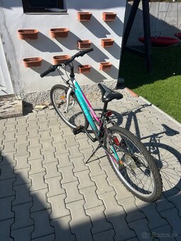 Damsky bicykel - 2