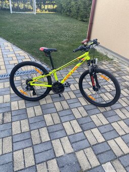 Kellys Kiter 50 - 2