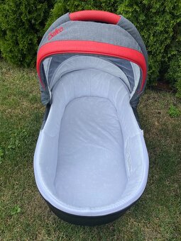 Kočík Camarelo Baleo - 2