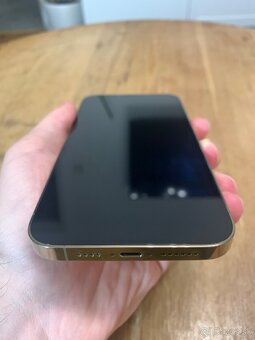 IPhone 13 Pro Max 256GB | Gold - 2