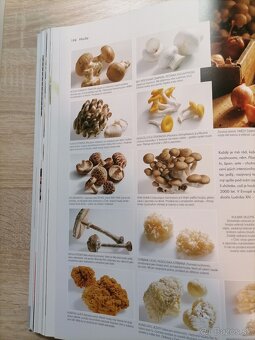 Predam  novú veľkú knihu Food. Všechno ze sveta potravin. - 2