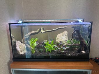 Akvárium 60 + sinkor Led svetlo - 2