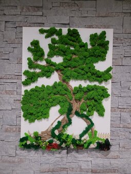 Machovy obraz na plátne - 2