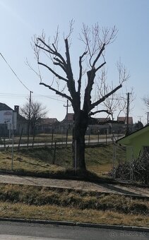 Rizikové pílenie - 2