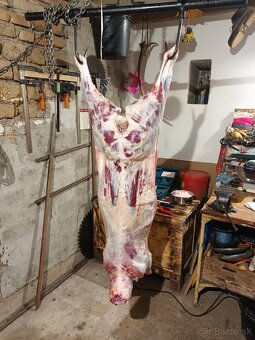 Baranina a Jahnacina - 2