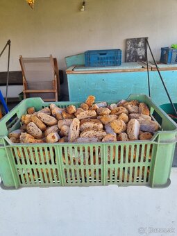 pekárenské vyrobky - 2