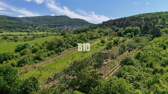 Vinica na skok od Nitry + chata - 590 m2 - 2