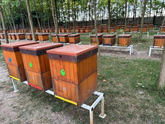 VČELIE ÚLE B10 - VČELY - VČELÍ MED - 2