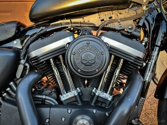 Harley Davidson Sportster Iron 883 , VP A2 - 2