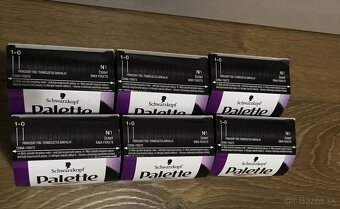 Palette - farba na vlasy - 01 čierna - 2
