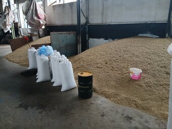 Predam jacmen, psenicu, ovos s dovozom. - 2