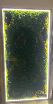 Machový obraz s podsvietením - 2