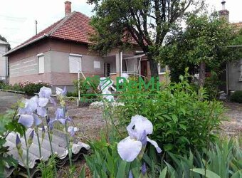 Rodinný dom na podnikanie,veľký pozemok - Veľký Kýr (1069-1 - 2