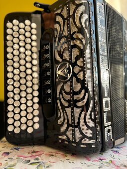 Accordiola - 2