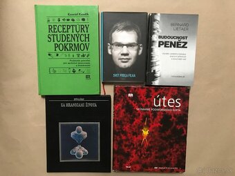 Fándly: Piľní domajší a poľní hospodár, Budoucnost peněz - 2
