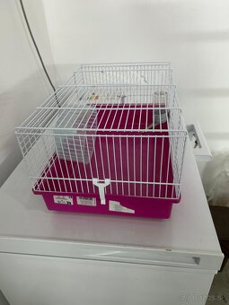 predam klietku pre škrečka - 2