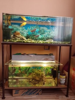 Akvarium - 2