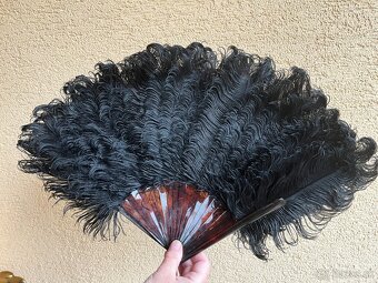 Vejár zo pštrosieho peria - 2