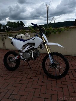 Pitbike UpBeat 140cc - 2