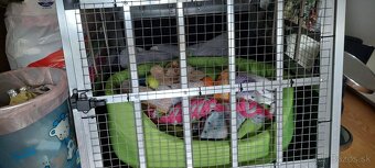 Klietka pre psíka, aj do auto na výlety. - 2