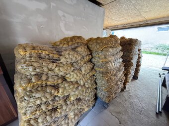 Predám zemiaky – výborná kvalita, 15 kg len za 2,40 € 🥔 - 2