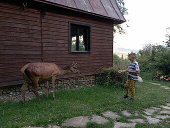 Chata Orava Oravice - 2