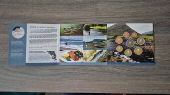 Sada mincí Írsko 2011 - 2