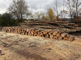 Palivové drevo - 2