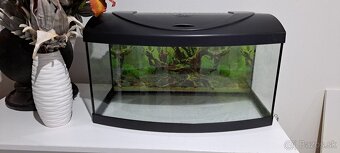 Akvarium 56l oble - 2