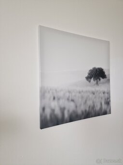 Obraz na platne - 2