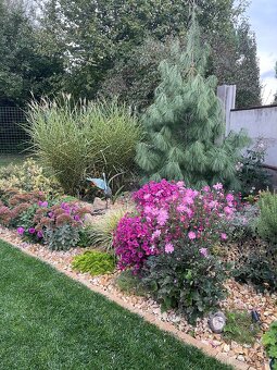 Záhradné práce- Lifegarden-živá zahrada - 2