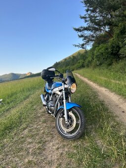 SUZUKI GS500E - 2