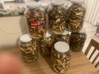 SUŠENÉ DUBÁKY - 2