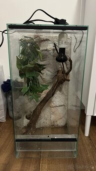 Na predaj terárium výška 60cm x 30 x 30 - 2