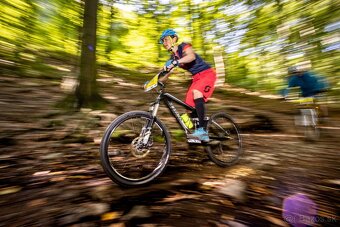 celoodpružený MTB Trek Fuel EX 6 - 2