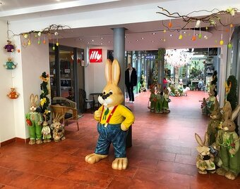 Ponúkame na prenájom obchodné priestory v centre v lukratívn - 2