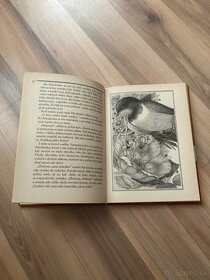 Kniha rozprávok "Divé labute" -  Hans Christian Andersen - 2